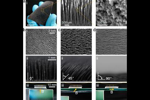 Structure and dynamic motion of the magnetically responsive hair array.